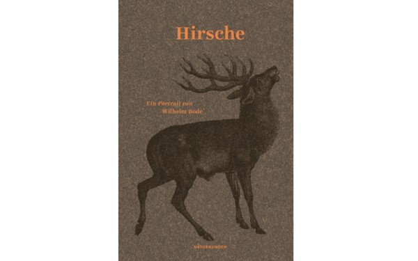 Hirsche - Ein Portrait