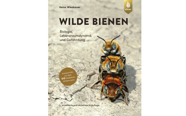 Wilde Bienen - Biologie, Lebensraumdynamik und Gefährdung