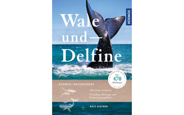 Wale und Delfine - Ralf Kiefner