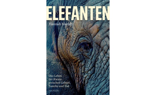 Elefanten - Das Leben der Riesen zwischen Geburt, Familie und Tod