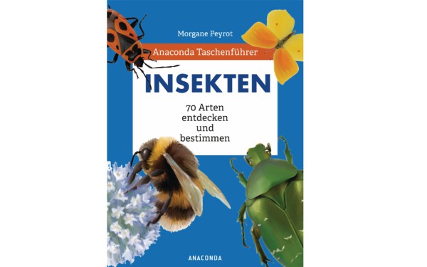 Insekten - 70 Arten entdecken und bestimmen