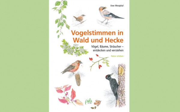 Uwe Westphal - Vogelstimmen in Wald und Hecke