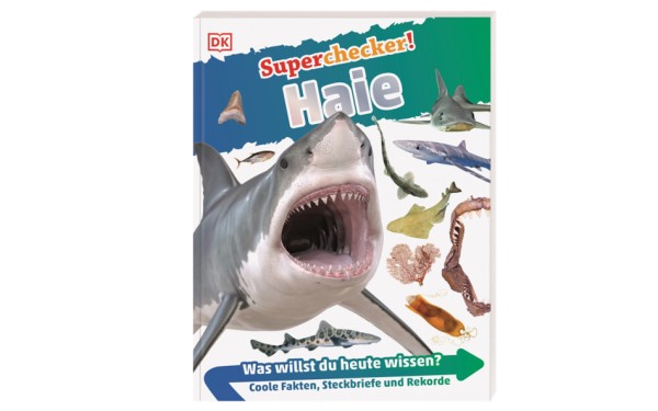 Superchecker! Haie - Coole Fakten, Steckbriefe und Rekorde