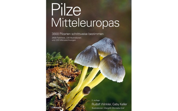 Pilze Mitteleuropas - 3800 Pilzarten schrittweise bestimmen
