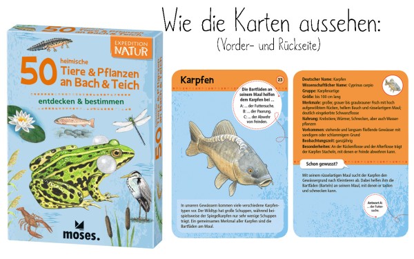 Expedition Natur - 50 heimische Tiere &amp; Pflanzen an Bach &amp; Teich