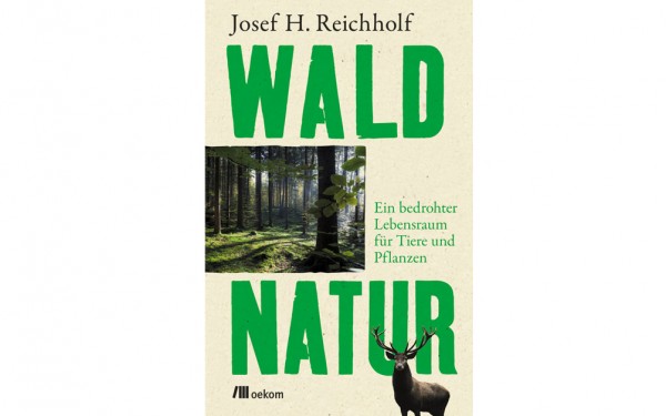 Waldnatur - Ein bedrohter Lebensraum für Tiere und Pflanzen