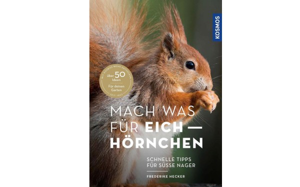 Mach was für Eichhörnchen - Schnelle Tipps für süße Nager