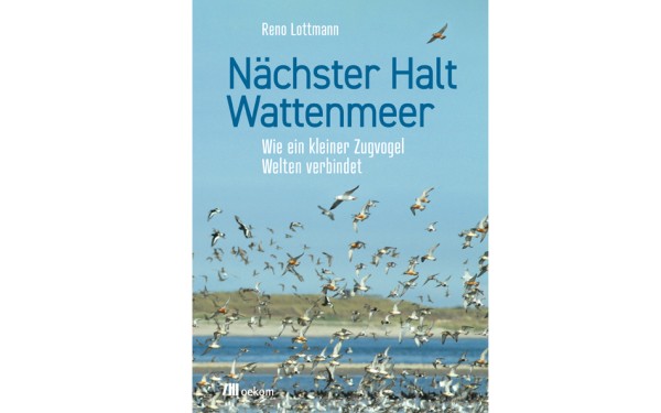 Nächster Halt Wattenmeer - Wie ein kleiner Zugvogel Welten verbindet