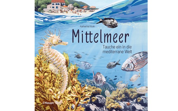 Mittelmeer - Tauche ein in die mediterrane Welt