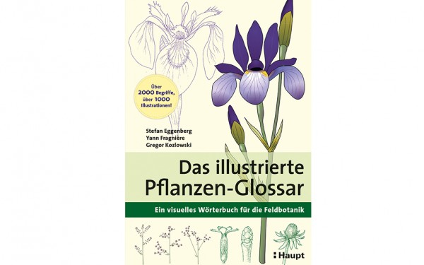 Das illustrierte Pflanzen-Glossar