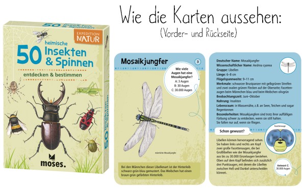 Expedition Natur - 50 heimische Insekten &amp; Spinnen