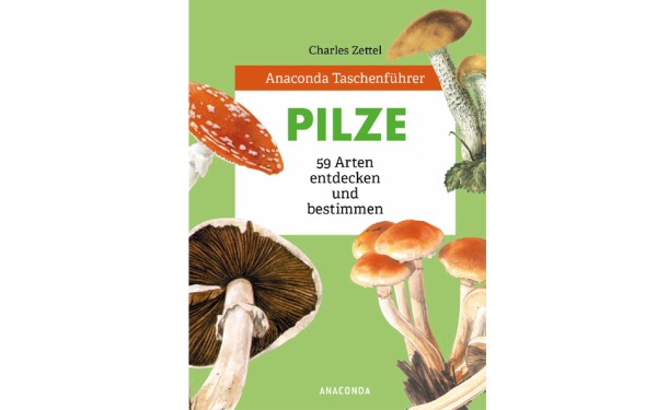 Pilze - 59 Arten entdecken und bestimmen