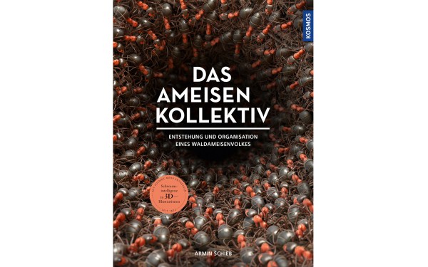 Das Ameisenkollektiv - Entstehung und Organisation eines Volkes der Roten Waldameise