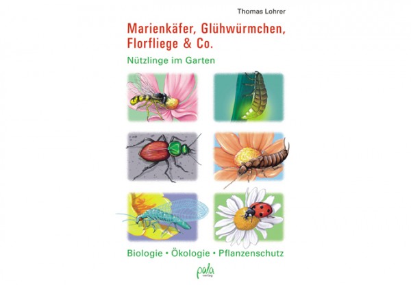 Marienkäfer, Glühwürmchen, Florfliege &amp; Co.