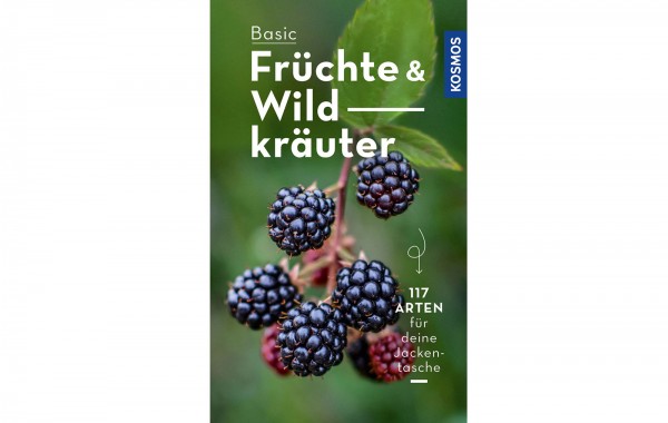 BASIC Früchte und Wildkräuter
